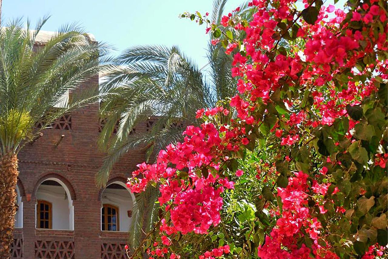 Sheherazade Szálloda Luxor