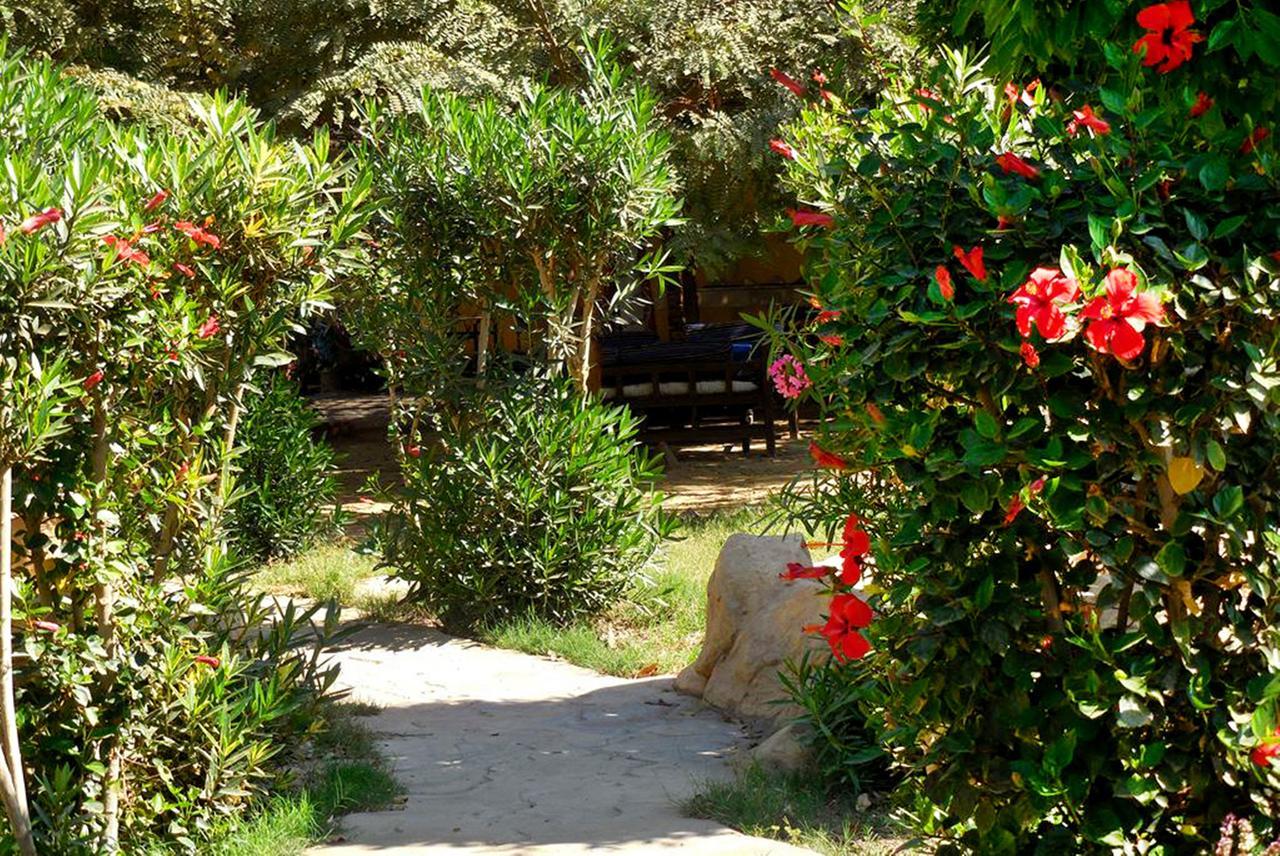 Sheherazade